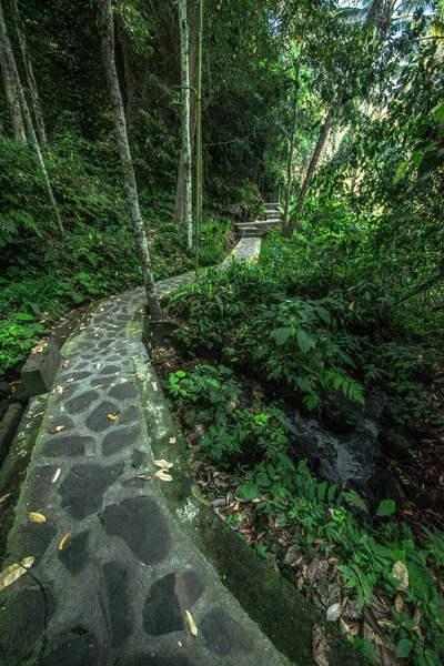 Gunung Kawi Chrám Dne Indonésii — Stock fotografie