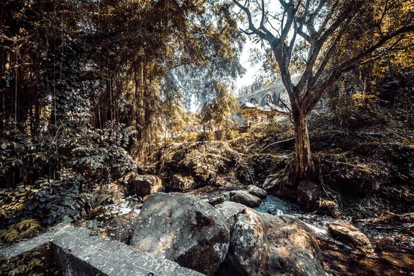 Kuil Gunung Kawi Pada Siang Hari Indonesia — Stok Foto