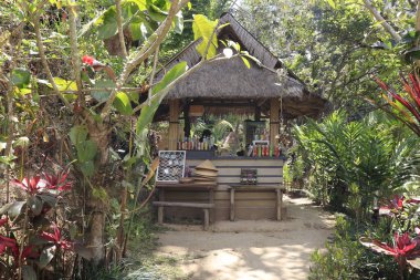 Ubud, Endonezya 'daki Kintamani Dağı bölgesi 