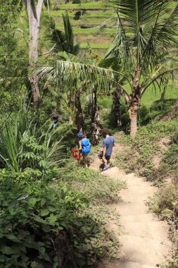 Ubud manzarası arayan turistler. Kintamani Dağı, Endonezya