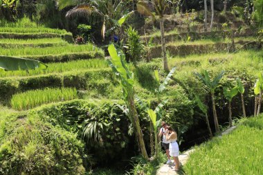 Ubud manzarası arayan turistler. Kintamani Dağı, Endonezya