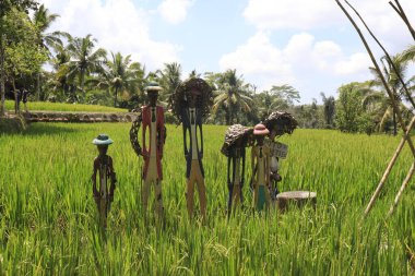 Ubud, Endonezya 'daki Kintamani Dağı Terrtoriy 