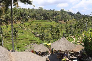 Ubud, Endonezya 'daki Kintamani Dağı 
