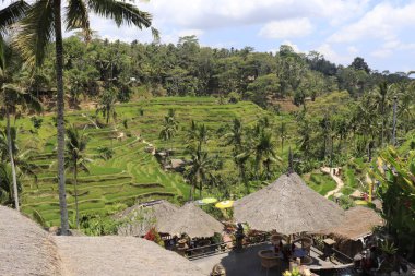 Ubud manzarası. Kintamani Dağı, Endonezya