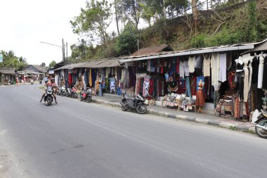 Ubud 'daki Endonezya antik tapınağı 