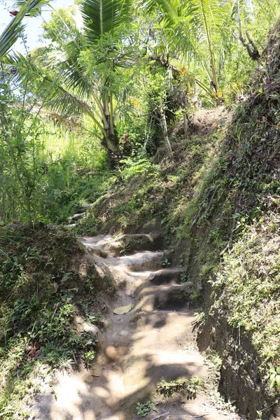 Ινδονήσιος Αρχαίος Ναός Στο Ubud — Φωτογραφία Αρχείου