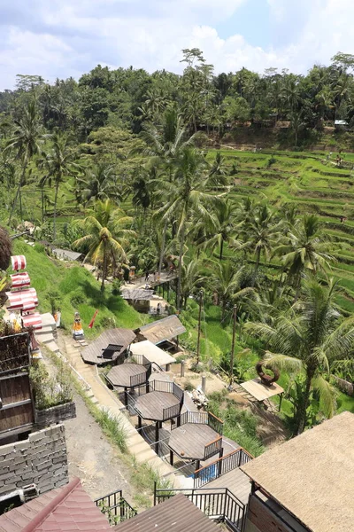 Landschap Van Ubud Kintamani Mountain Indonesië — Stockfoto