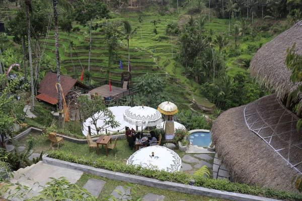 Kintamani Bergsområde Ubud Indonesien — Stockfoto
