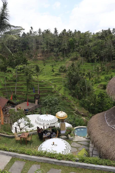Indonéz Ősi Templom Ubud — Stock Fotó
