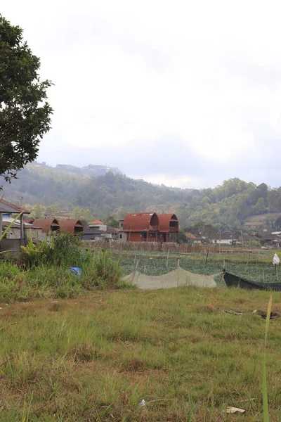 Kintamani Berggebied Ubud Indonesië — Stockfoto