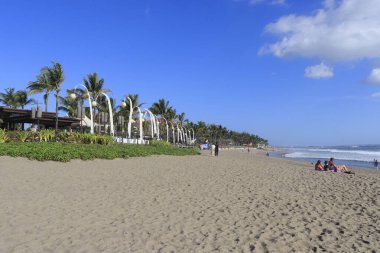 Ubud, Endonezya 'da palmiye ağaçları ve mavi gökyüzü olan tropik plaj