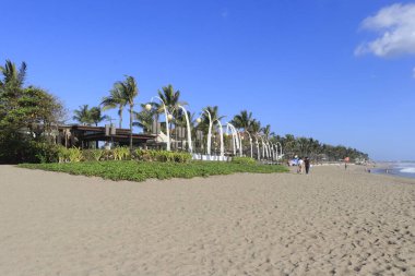 Ubud, Endonezya 'da palmiye ağaçları ve mavi gökyüzü olan tropik plaj