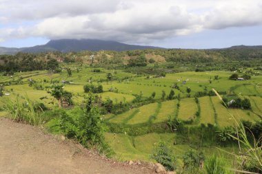 High view on green landscape, Indonesia  clipart