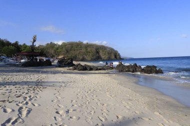 Ubud, Endonezya 'da palmiye ağaçları ve mavi gökyüzü olan tropik plaj