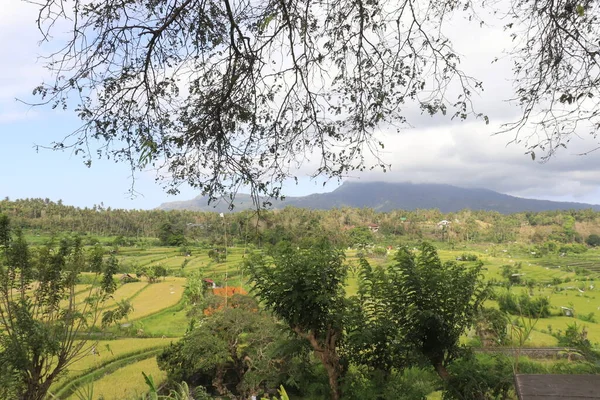 Vista Alta Sobre Paisagem Verde Indonésia — Fotografia de Stock