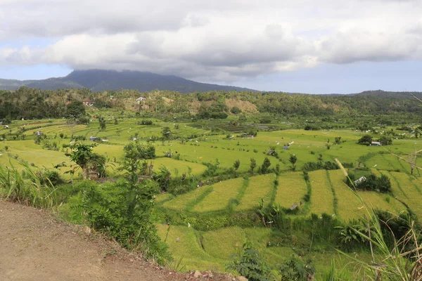 Vista Alta Sobre Paisagem Verde Indonésia — Fotografia de Stock