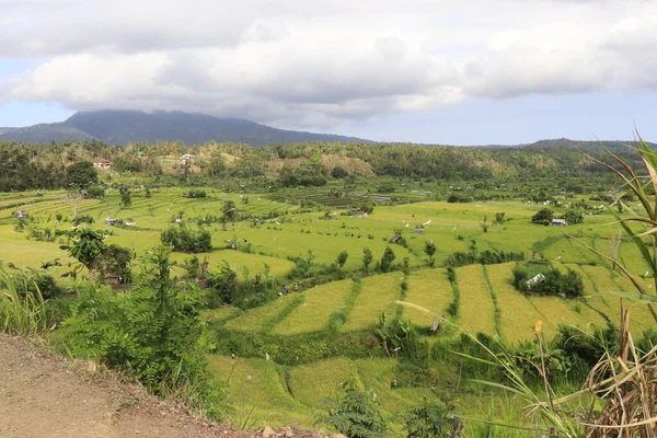 Vista Alta Sul Paesaggio Verde Indonesia — Foto Stock