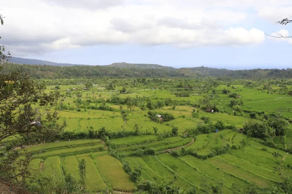 Vista Panorámica Del Paisaje Verde Indonesia — Foto de Stock