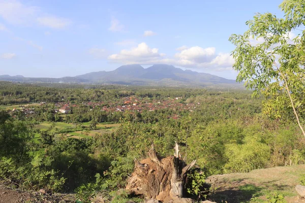 印度尼西亚Ubud的自然景观 — 图库照片