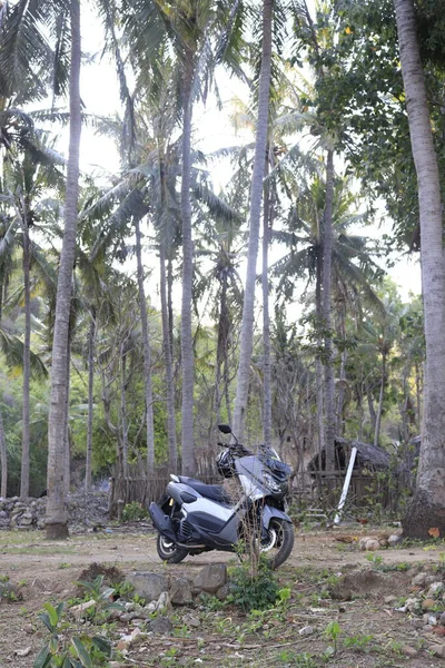 Blick Auf Ein Motorrad Wald — Stockfoto