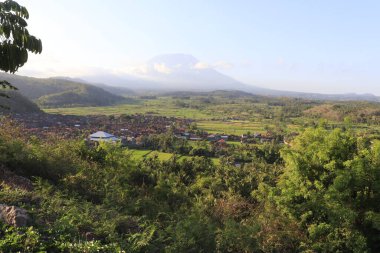 Ubud, Endonezya 'daki doğa manzarası 