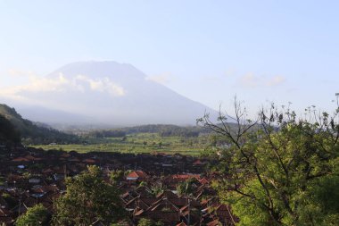 Ubud, Endonezya 'daki doğa manzarası 