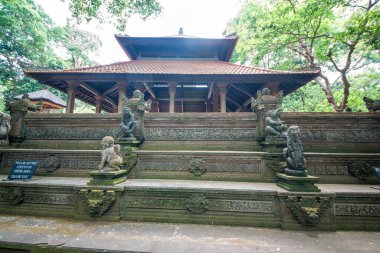 Endonezya 'nın Ubud şehrinde gündüz vakti Maymun Ormanı 