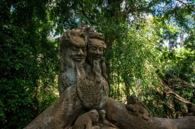 Endonezya 'nın Ubud şehrinde gündüz vakti Maymun Ormanı 