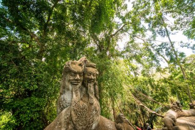 Endonezya 'nın Ubud şehrinde gündüz vakti Maymun Ormanı 