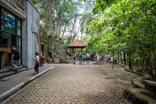 Endonezya Nın Ubud Şehrinde Gündüz Vakti Maymun Ormanı — Stok fotoğraf