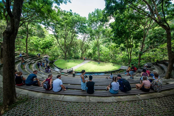 Forêt Singes Jour Ubud Indonésie — Photo