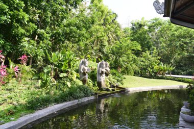 Endonezya 'nın Ubud şehrinde gündüz vakti Maymun Ormanı 