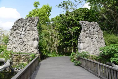 Endonezya 'nın Ubud şehrinde gündüz vakti Maymun Ormanı 