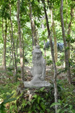 Endonezya 'nın Ubud şehrinde gündüz vakti Maymun Ormanı 