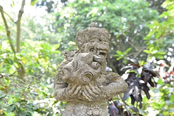 Territorio Del Bosque Monos Indonesia — Foto de Stock