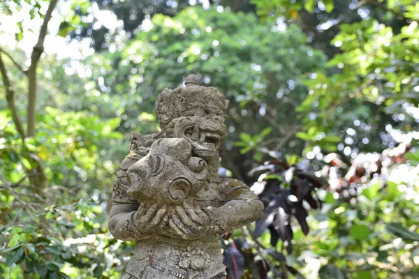 Monkey Forest Daytime Ubud Indonesia — Stock Photo, Image