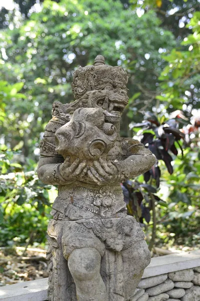 Territory Monkey Forest Indonesia — Stock Photo, Image