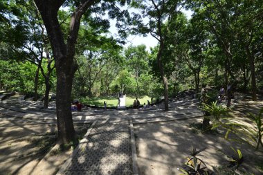 Endonezya 'nın Ubud şehrinde gündüz vakti Maymun Ormanı 