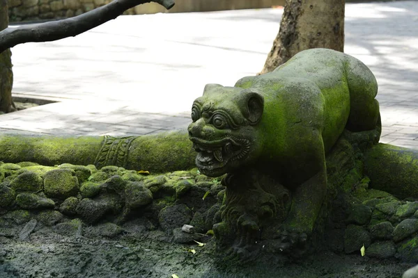 Forêt Singes Jour Ubud Indonésie — Photo