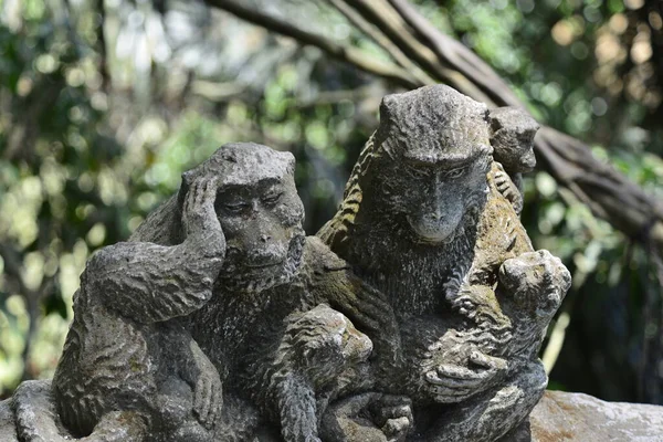 Bosque Monos Durante Día Ubud Indonesia — Foto de Stock