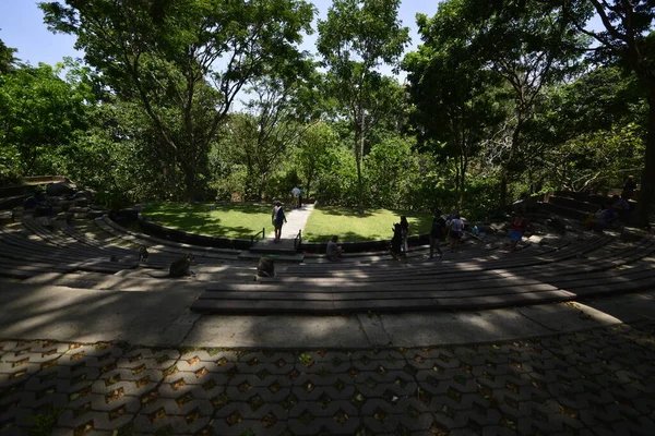 Território Floresta Dos Macacos Indonésia — Fotografia de Stock