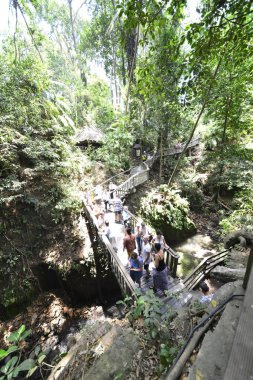 Endonezya 'nın Ubud şehrinde gündüz vakti Maymun Ormanı 