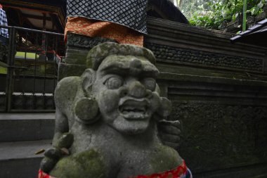 Endonezya 'nın Ubud şehrinde gündüz vakti Maymun Ormanı 