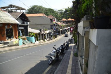 Endonezya 'nın Ubud şehrinde gündüz vakti Maymun Ormanı 