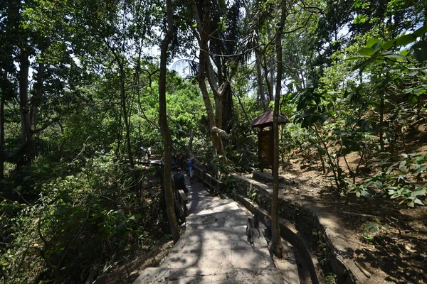 Foresta Delle Scimmie Giorno Ubud Indonesia — Foto Stock