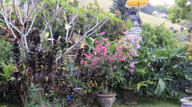 Bali, Endonezya - 20 Kasım 2019: Tirta Empul 'un güzel bir manzarası, Kutsal Bahar Tapınağı.