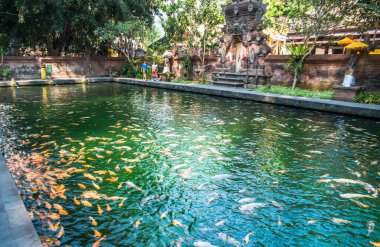 Tiran Boş Tapınağı, Endonezya 'da balıklı gölet