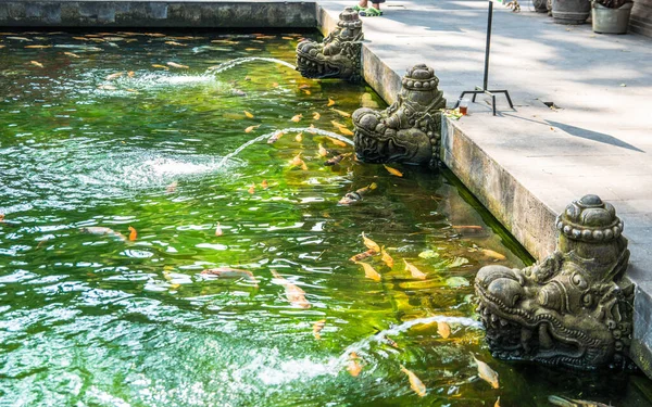 Pond with fishes in Tirta Empul Temple, Indonesia