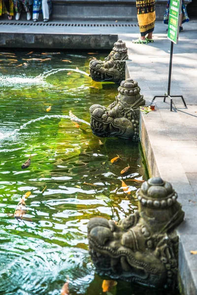 Tiran Boş Tapınağı, Endonezya 'da balıklı gölet