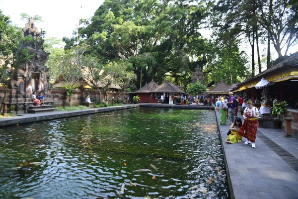 Étang Avec Des Poissons Temple Tirta Empul Indonésie — Photo